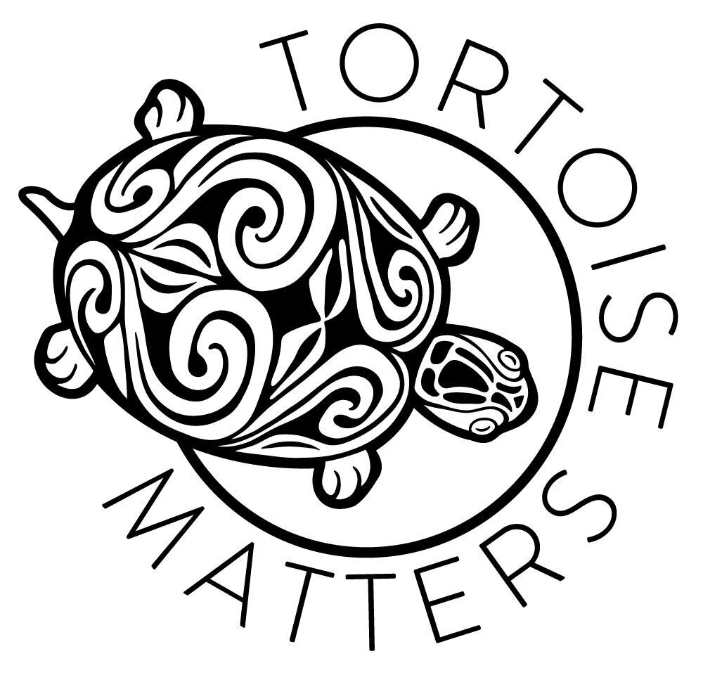 TORTOISE MATTERS